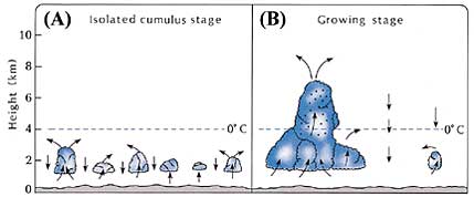 (A) Isolated small pieces of clouds (cumulus clouds). (B) When the small clouds join together, updrafts within the larger cloud increase, so the cloud is stacked up. Water drops are indicated by ·.